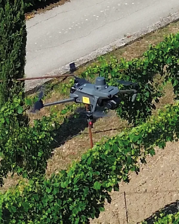 Il drone durante un rilievo nel vigneto