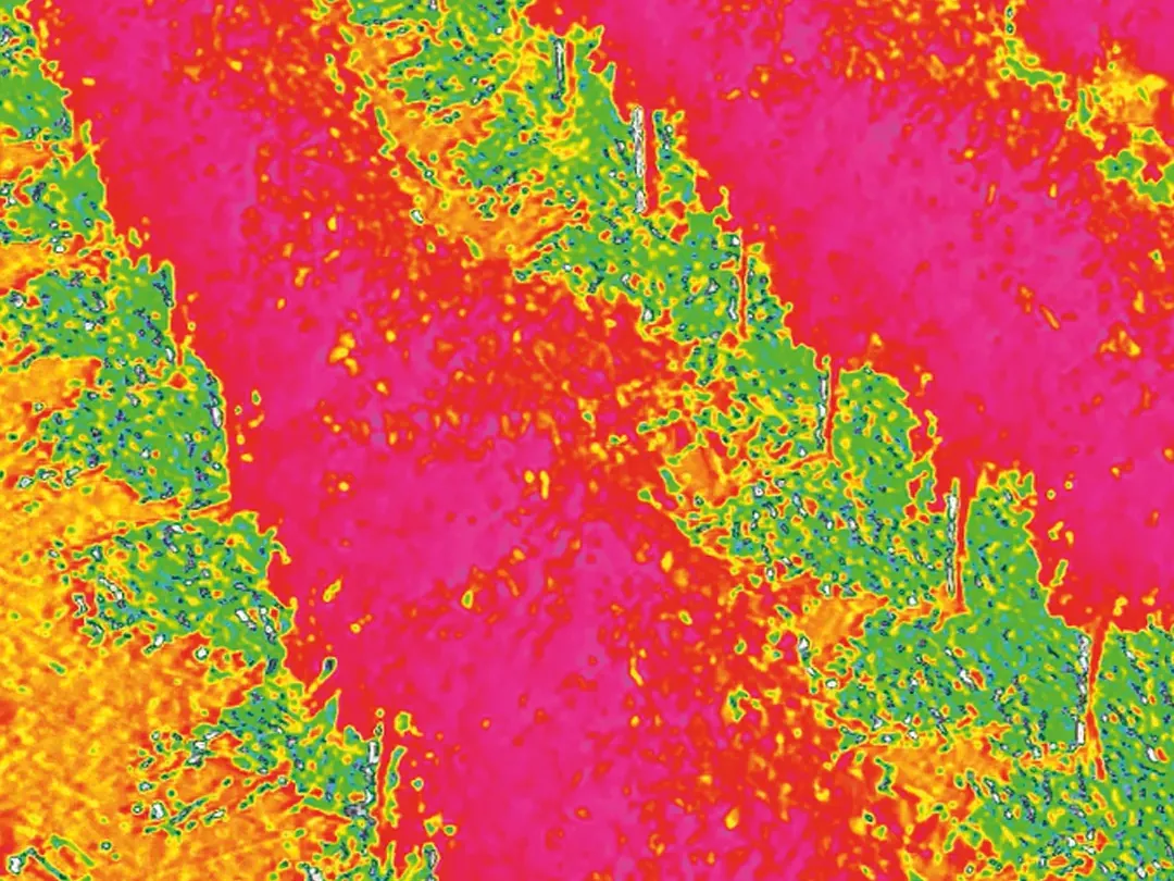 Mappa di vigore (NDVI)