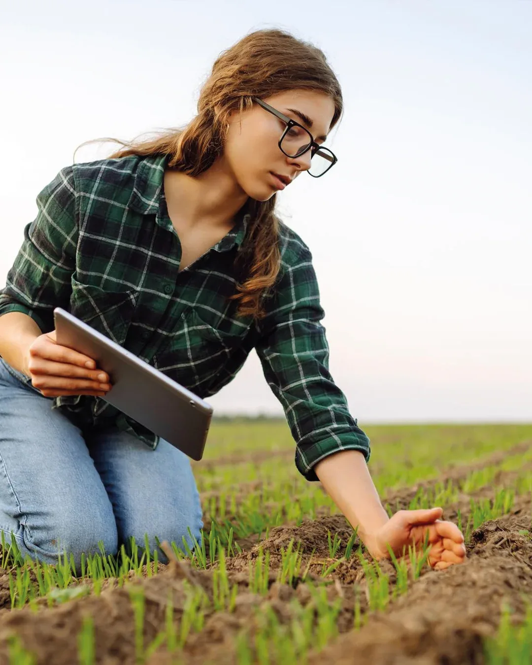 Un agricoltore consulta il tablet in campo