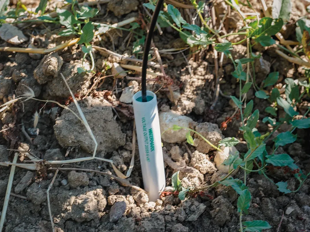Sensore di umidità del suolo