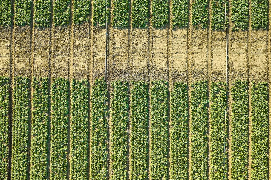 droni per agricoltura di precisione piattaforma digitale