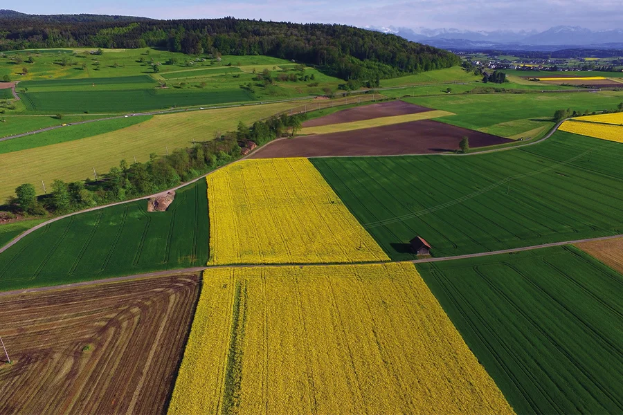 finanza agevolata terrahub report agronomici digitali