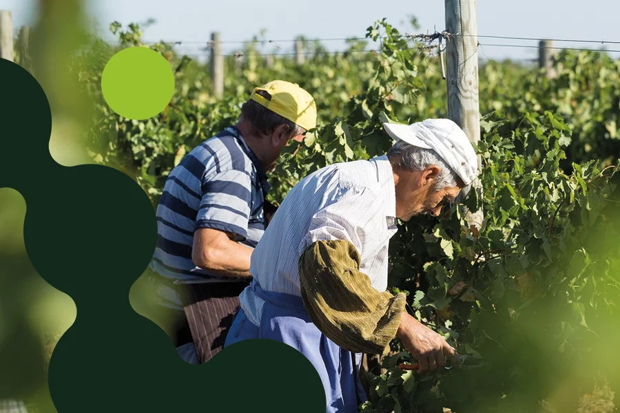 Soluzioni per agronomi e tecnici agricoli