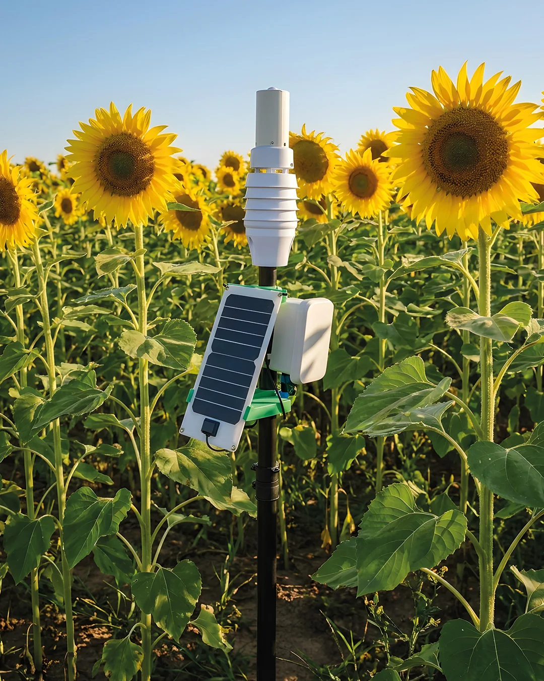 piattaforma agricoltura innovativa intelligenza artificiale