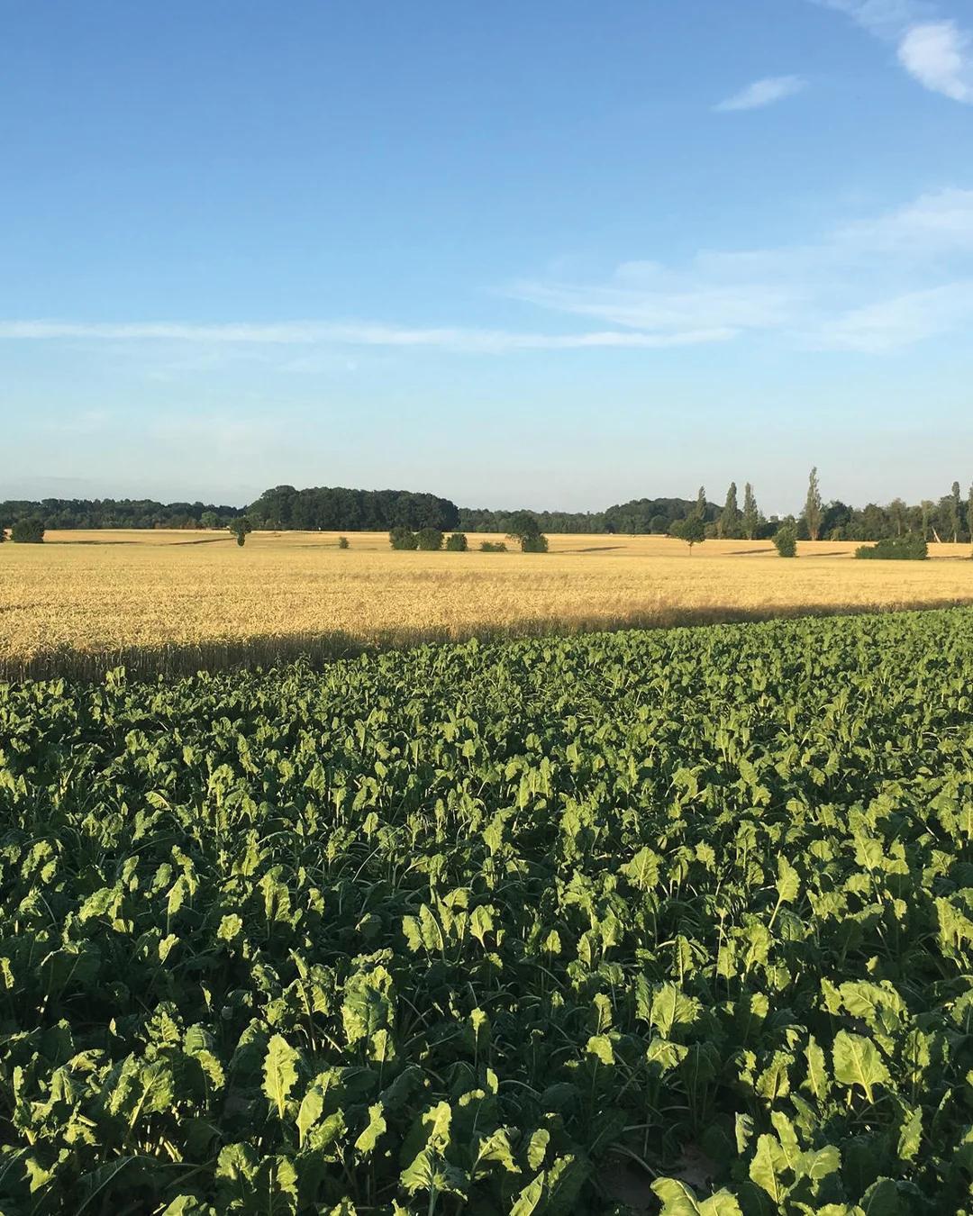 richiedi una demo per aziende agricole