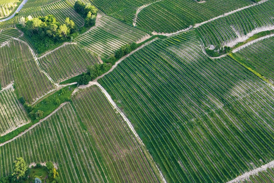 software agricolo sistemi di monitoraggio iot