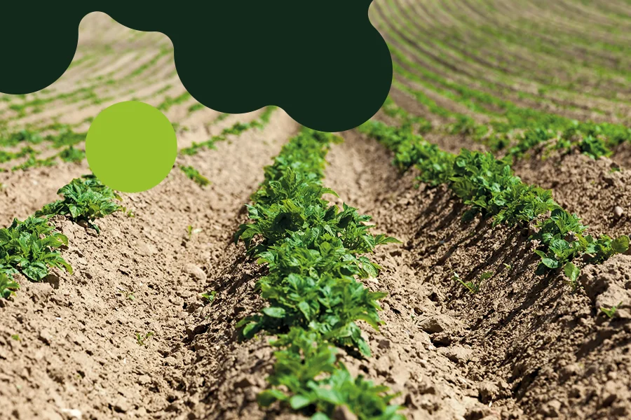 soluzioni per consorzi e cooperative agricole
