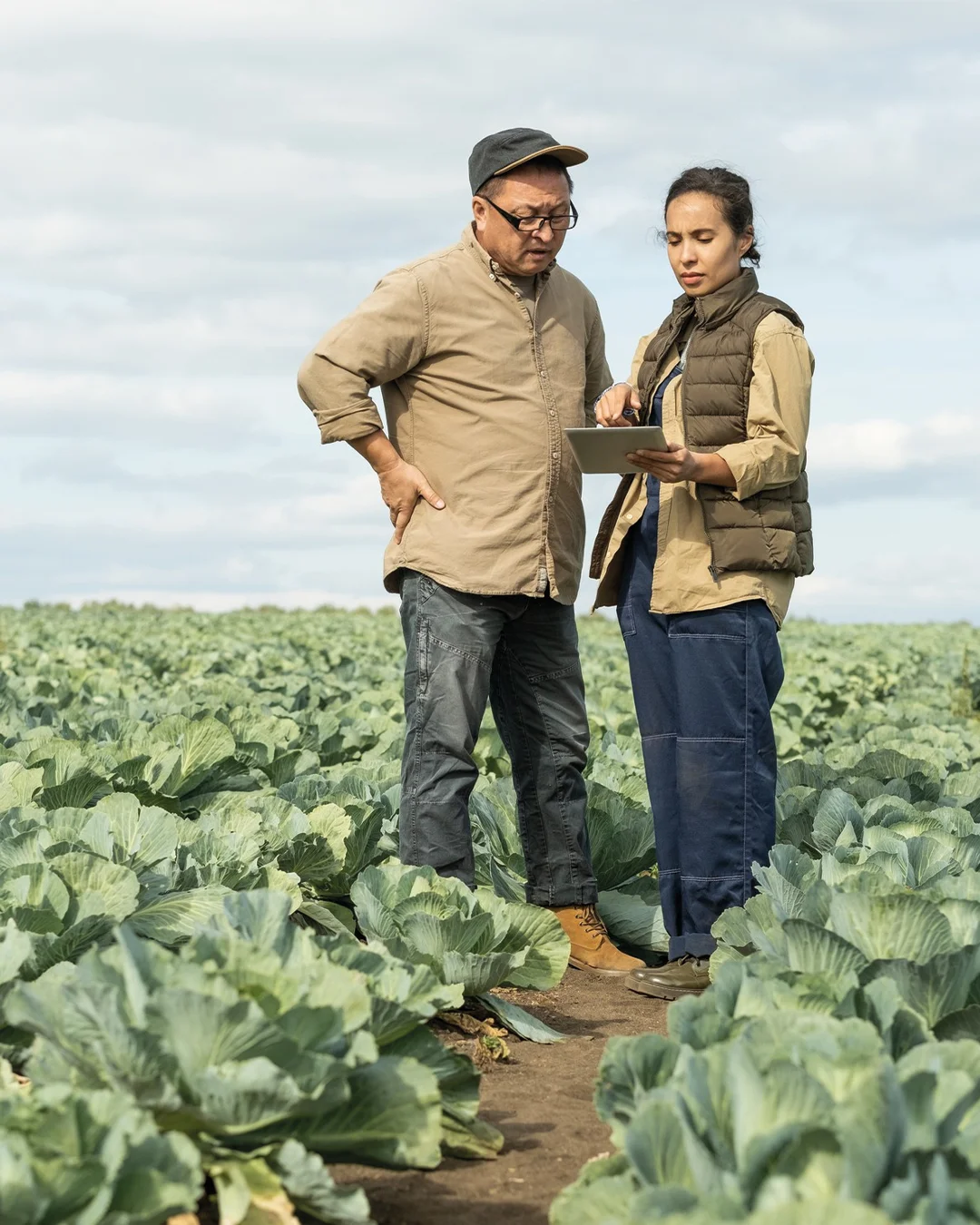 soluzioni terrahub aziende agricole